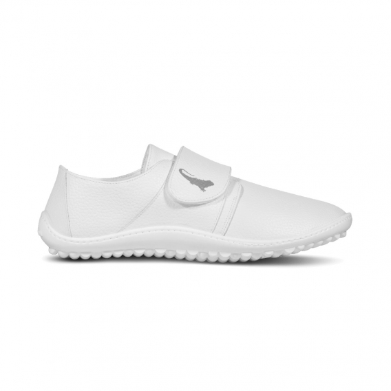 Obrázok pre Leguano CARE